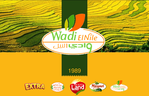 مؤسسة وادي النيل